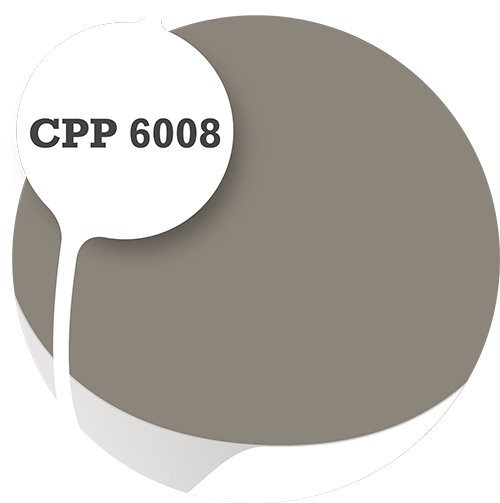 Cpp6008