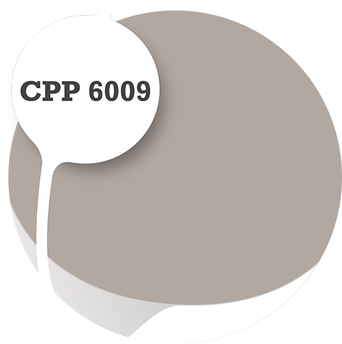 Cpp6009