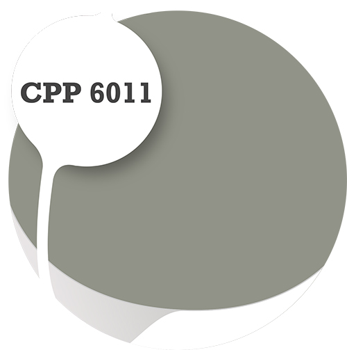 Cpp6011
