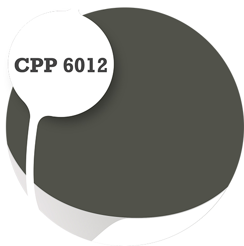 Cpp6012