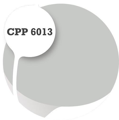 Cpp6013