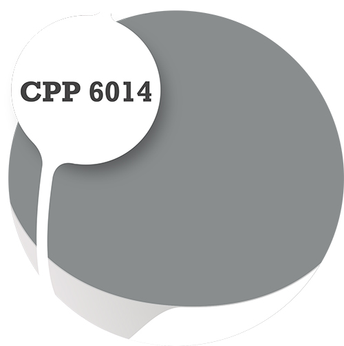 Cpp6014
