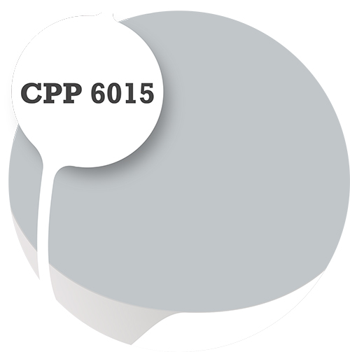 Cpp6015