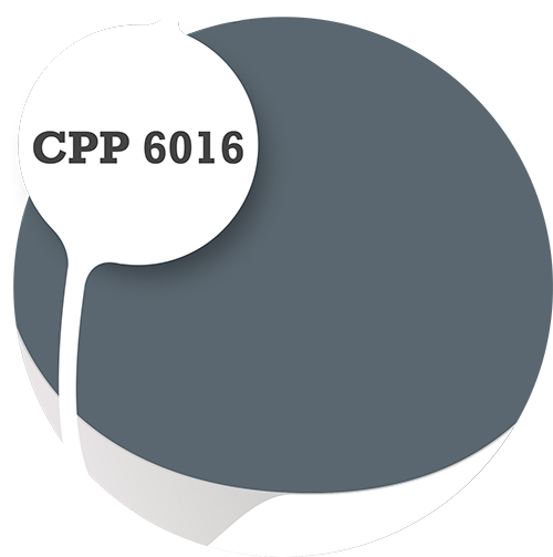 Cpp6016