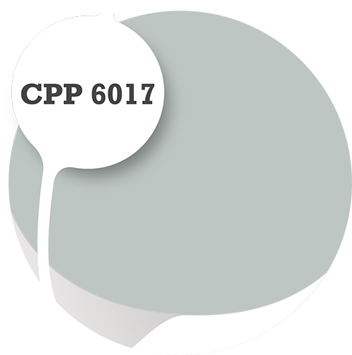 Cpp6017