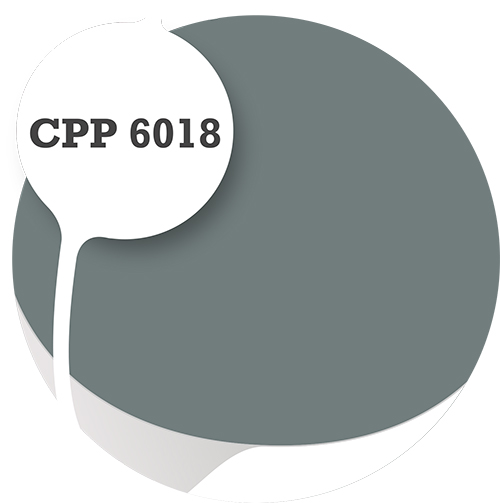 Cpp6018