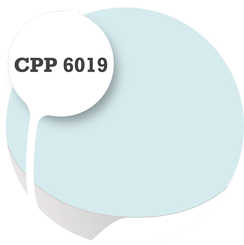 Cpp6019