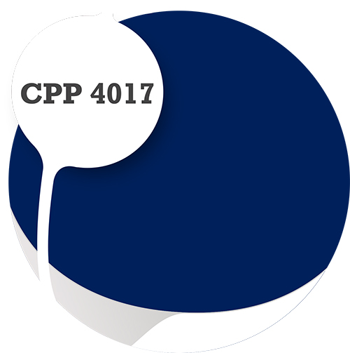 Cpp4017