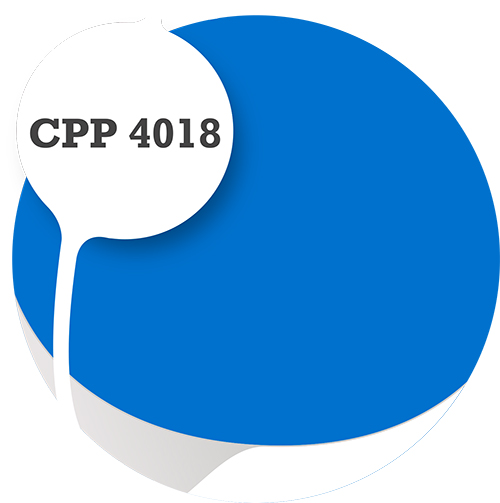 Cpp4018