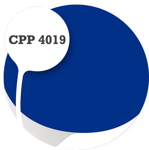 Cpp4019