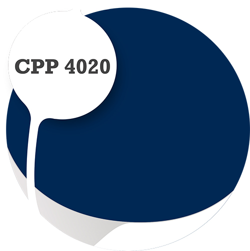 Cpp4020