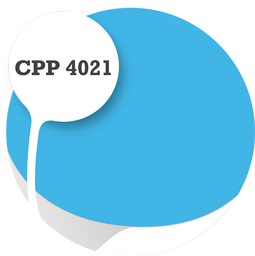 Cpp4021