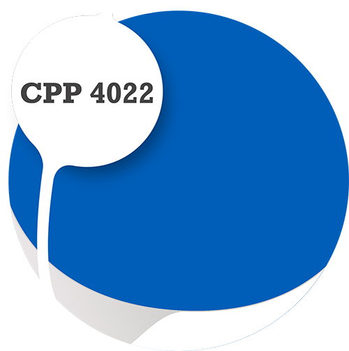 Cpp4022
