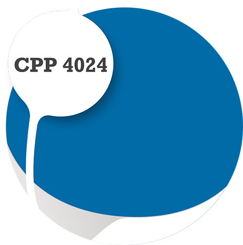 Cpp4024