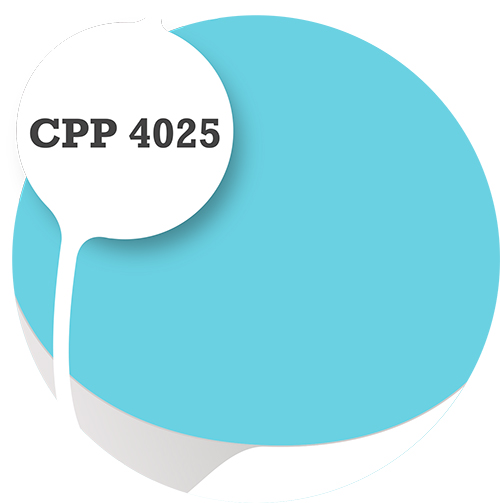Cpp4025