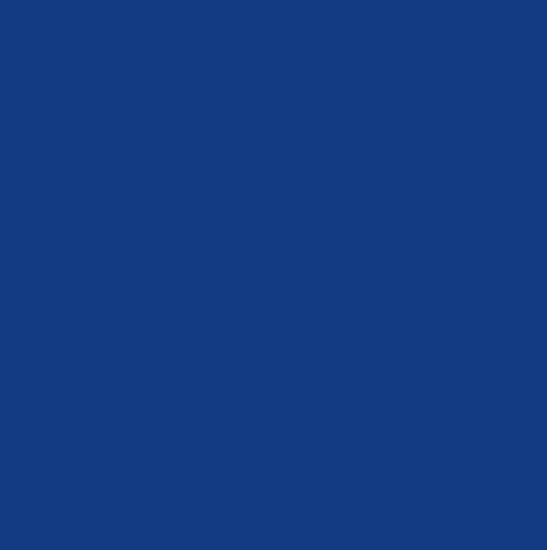 Cpf4013