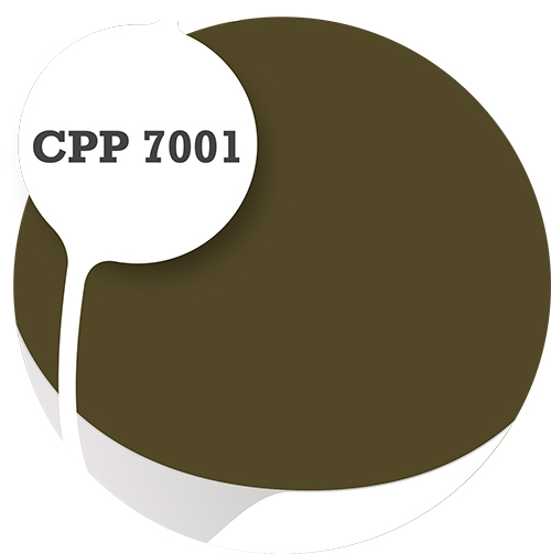 Cpp7001