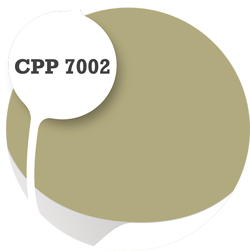 Cpp7002