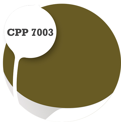 Cpp7003