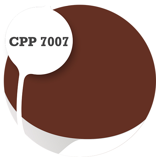 Cpp7007