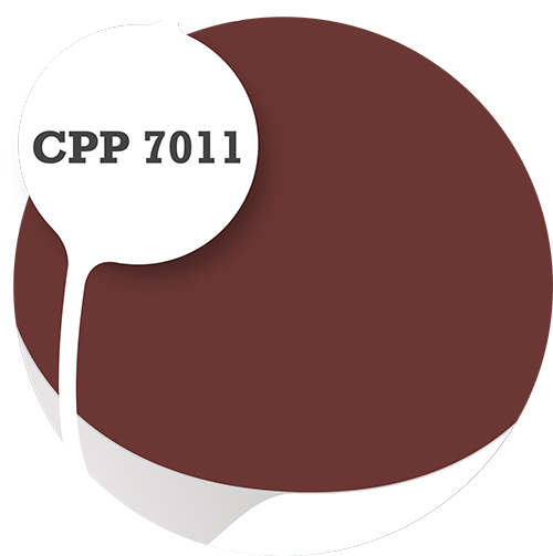 Cpp7011