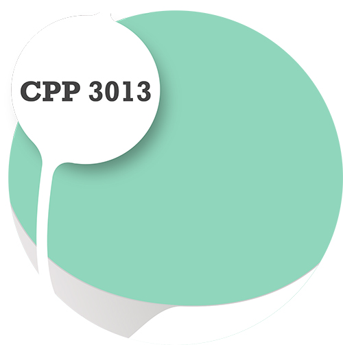 Cpp3013