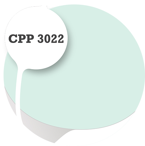 Cpp3022