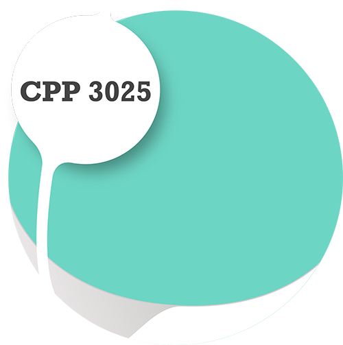 Cpp3025