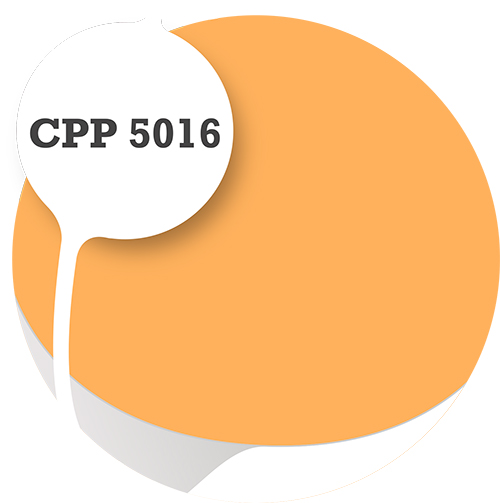 Cpp5016