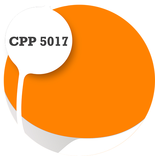 Cpp5017
