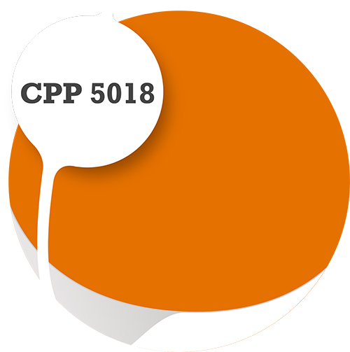 Cpp5018