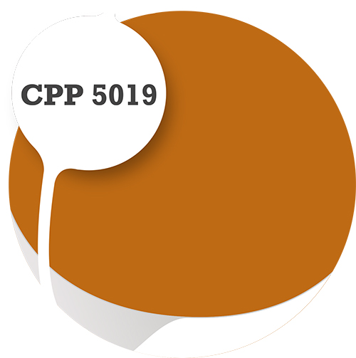 Cpp5019