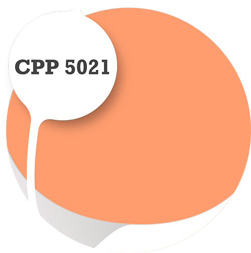 Cpp5021