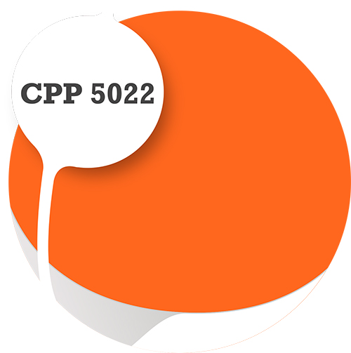 Cpp5022