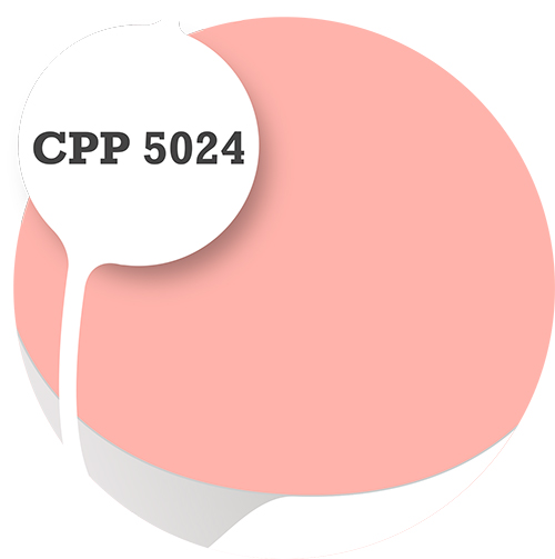 Cpp5024