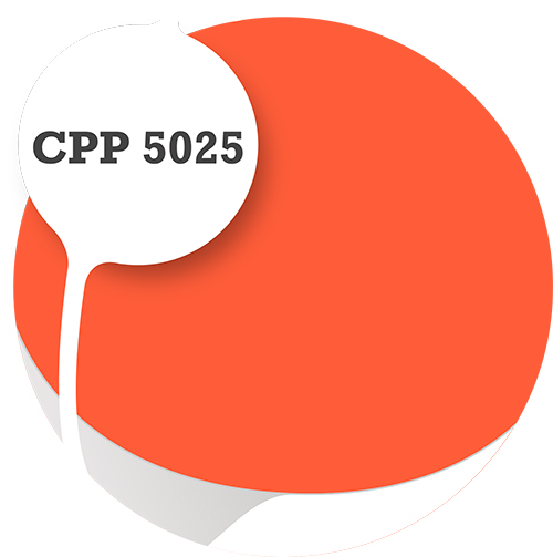 Cpp5025
