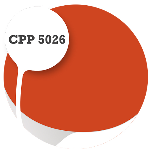 Cpp5026