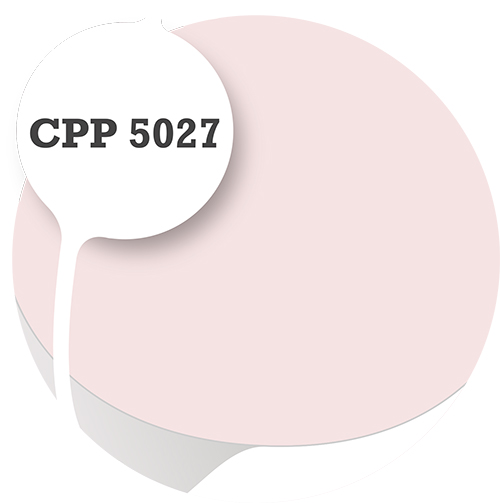 Cpp5027