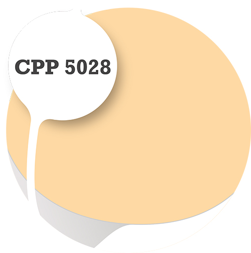 Cpp5028