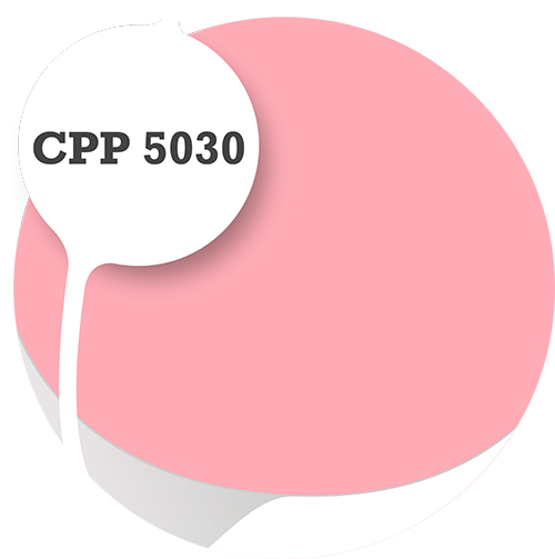 Cpp5030