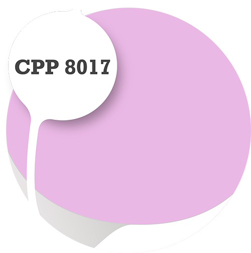 Cpp8017