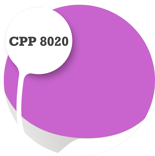 Cpp8020