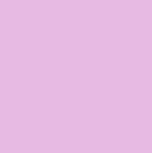 Cpp8019