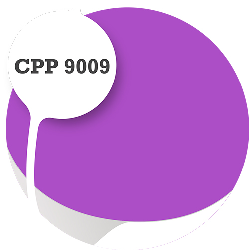 Cpp9009