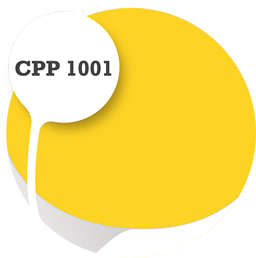 Cpp1001