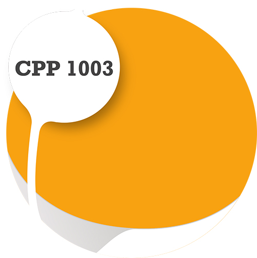 Cpp1003