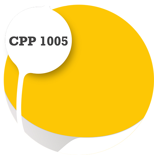 Cpp1005
