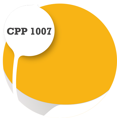 Cpp1007