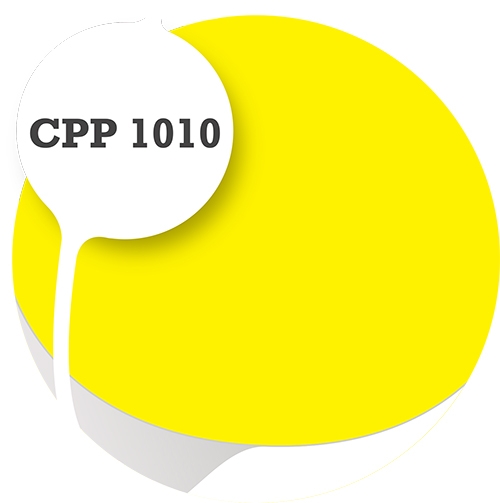 Cpp1010
