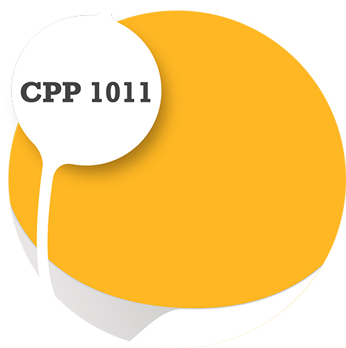 Cpp1011